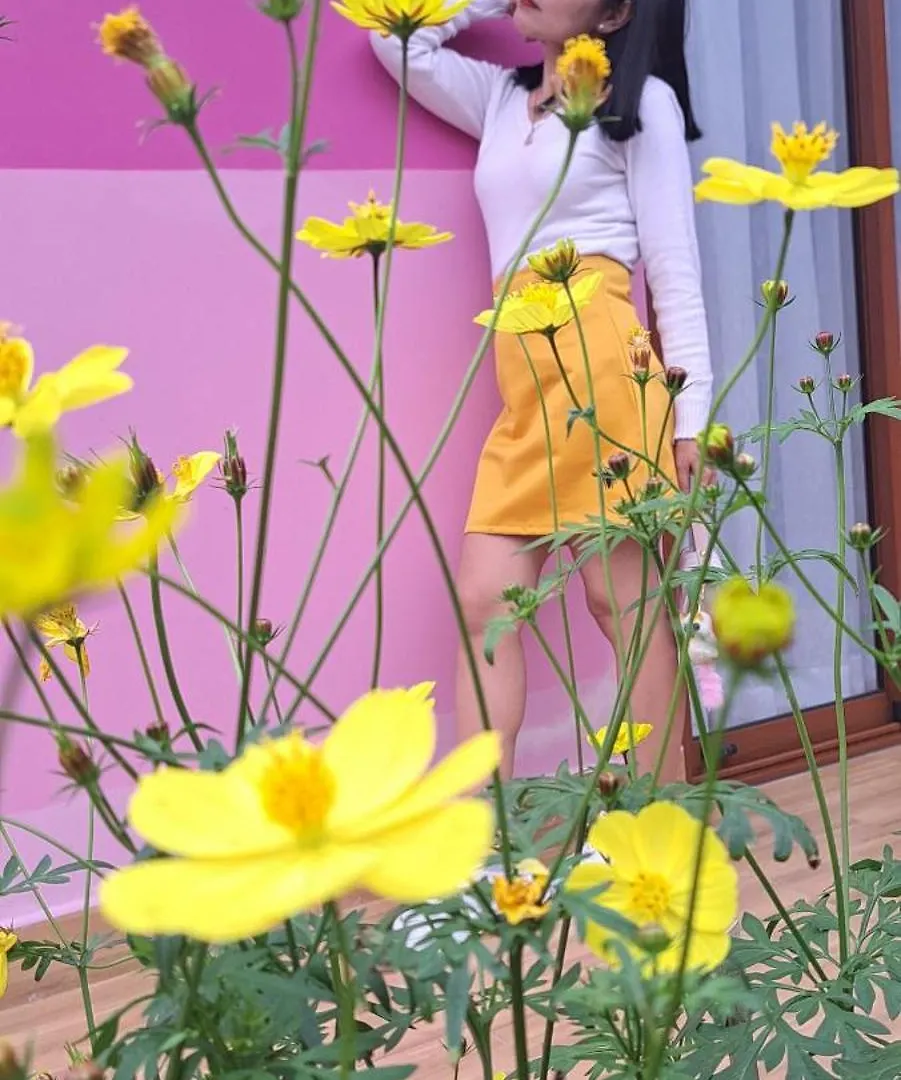 Ms Tri Homestay Hoi An