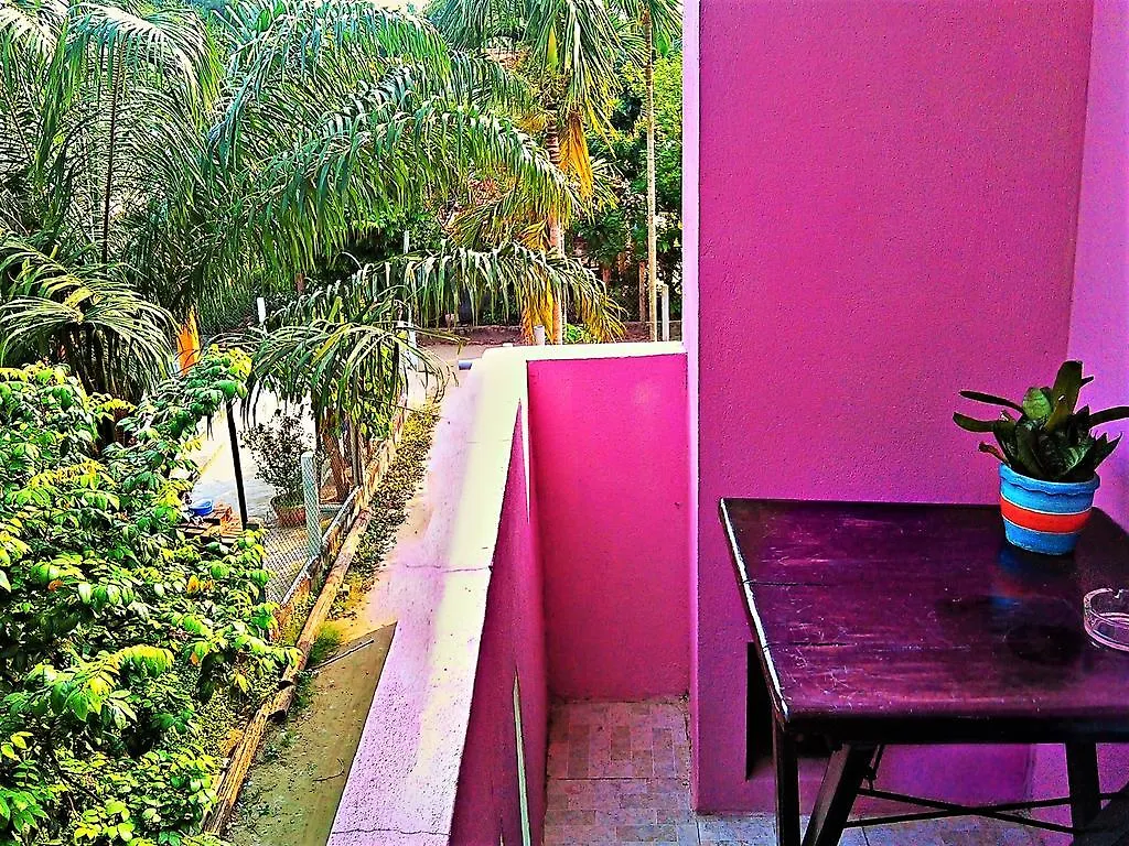 Ms Tri Homestay Hoi An Vietnam